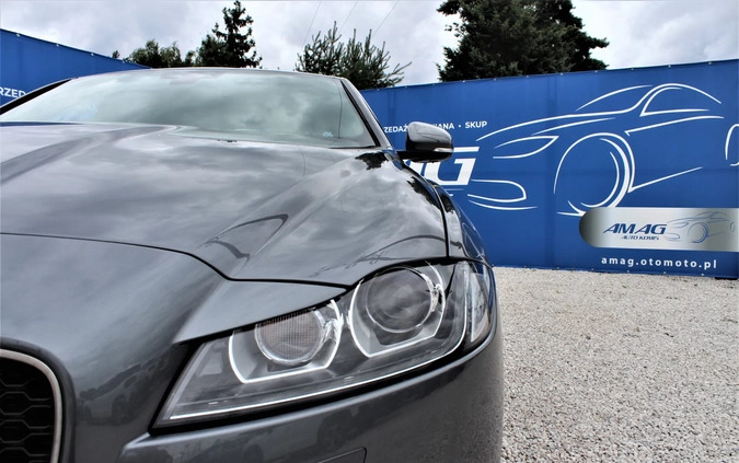 Jaguar XF cena 117800 przebieg: 22000, rok produkcji 2018 z Nowy Targ małe 529